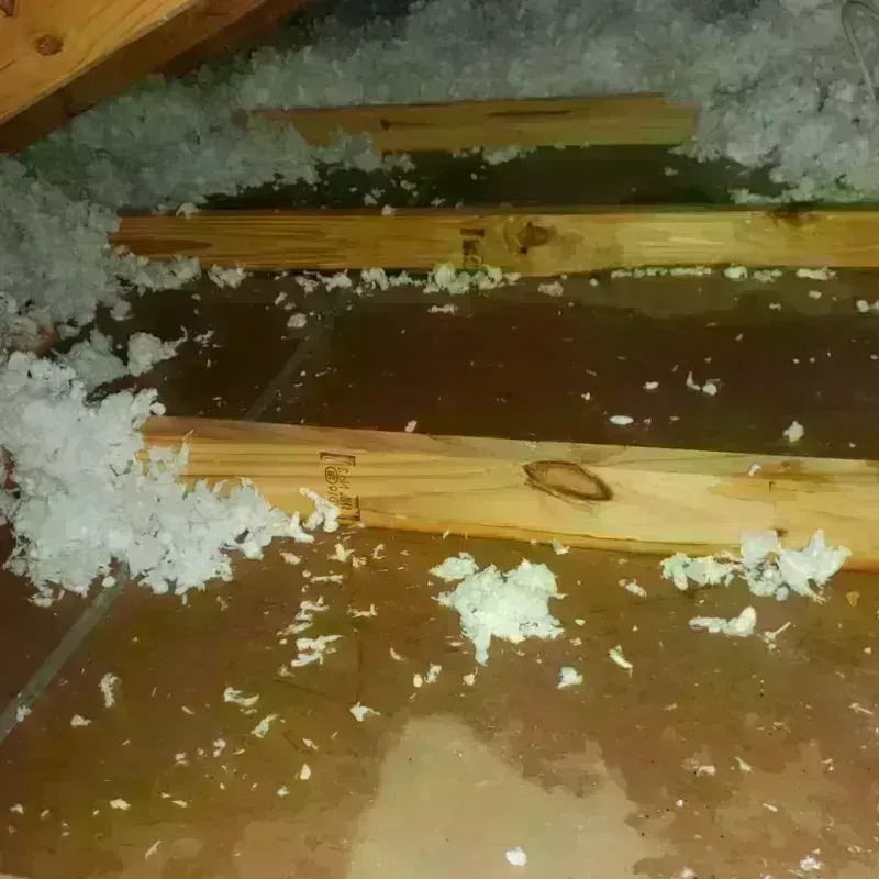 Attic Water Damage in Antioch, IL