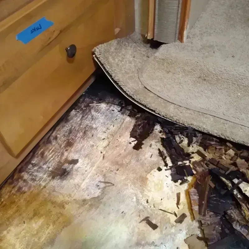 Wood Floor Water Damage in Antioch, IL